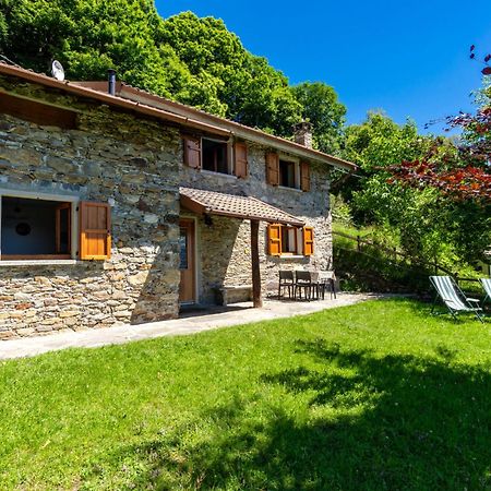 Holiday Home Munt Del Nana By Interhome Plesio Екстериор снимка